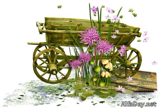 ������� ��������, �������, ��������, �������, �����, �����, ����, ������ � �������, �������� - ������� ��� ��������