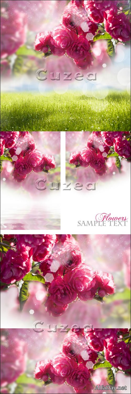 ������ ������� ������ ������� ���, ������ ���, ��������� ����� � ������� ����� - ����, ��������� �������