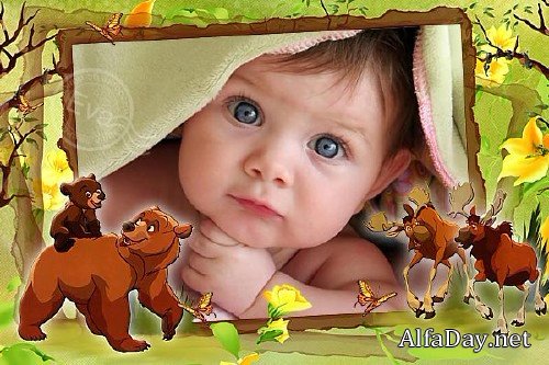 ������� ����� ��� �������� - ������ ����������