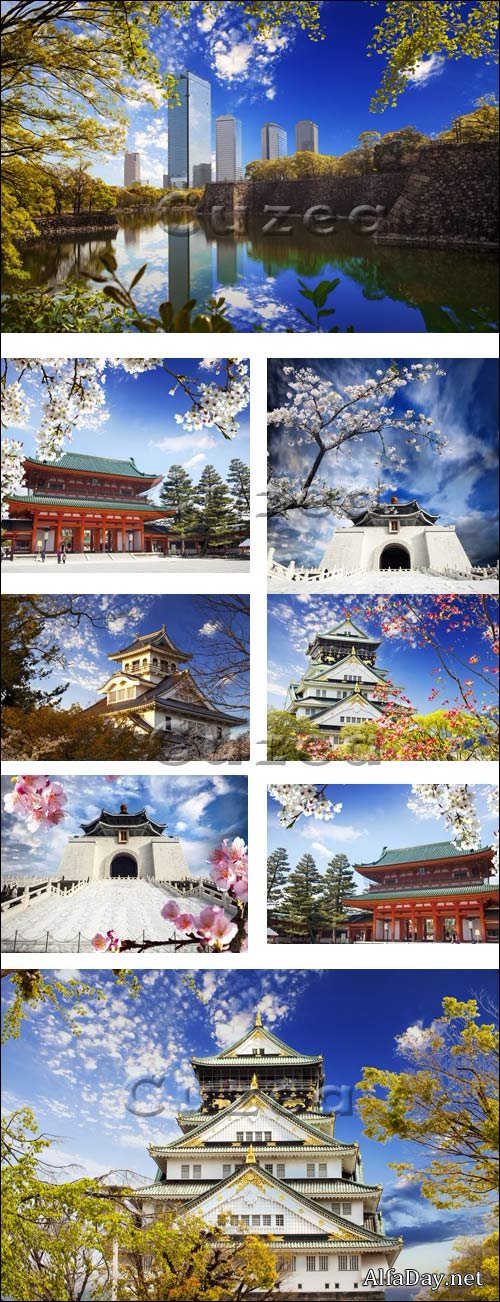 �����, �������� �����������, �������� ������ - ����, ��������� ������� / Osaka castle and sakura - Stock photo