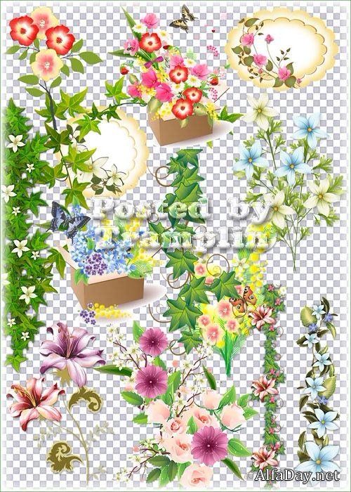 ���������� �����, ��������� ���������� � ������� - ������� �� ���������� ����