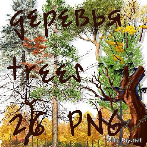 ������� � ������� ������� - ������� �� ���������� ����