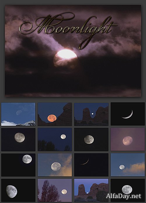 ������ ������ ����