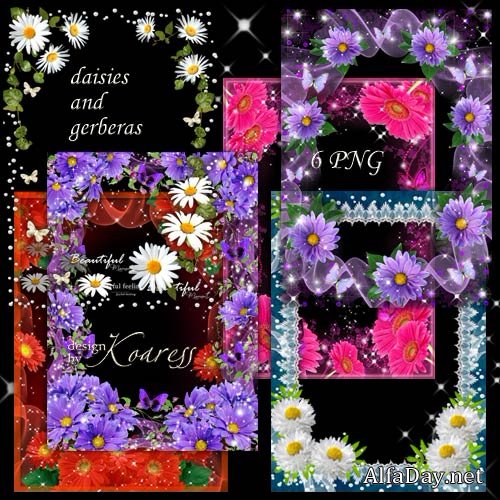 ����� ������������ ��������� ����� ��� ���� - ������� � �������