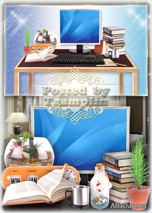 ������������ �������� - ����, ���������, ��������, �����, ������