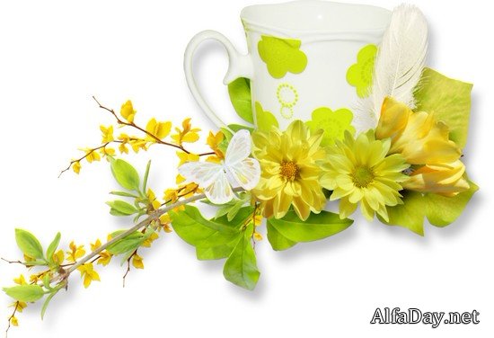 ��������� �����, ��������� ��������, ���������� �� ������, ��������� ������ - ������� PNG