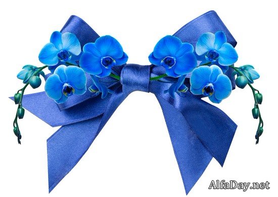 ��������� �����, ��������� ��������, ���������� �� ������, ��������� ������ - ������� PNG