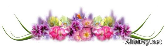 ��������� �����, ��������� ��������, ���������� �� ������, ��������� ������ - ������� PNG