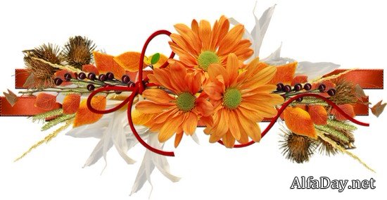 ��������� �����, ��������� ��������, ���������� �� ������, ��������� ������ - ������� PNG