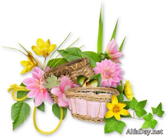 ��������� �����, ��������� ��������, ���������� �� ������, ��������� ������ - ������� PNG