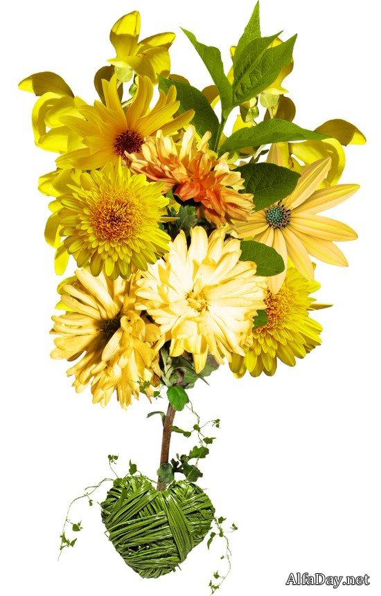 ��������� �����, ��������� ��������, ���������� �� ������, ��������� ������ - ������� PNG