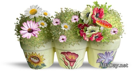 ��������� �����, ��������� ��������, ���������� �� ������, ��������� ������ - ������� PNG