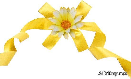 ��������� �����, ��������� ��������, ���������� �� ������, ��������� ������ - ������� PNG