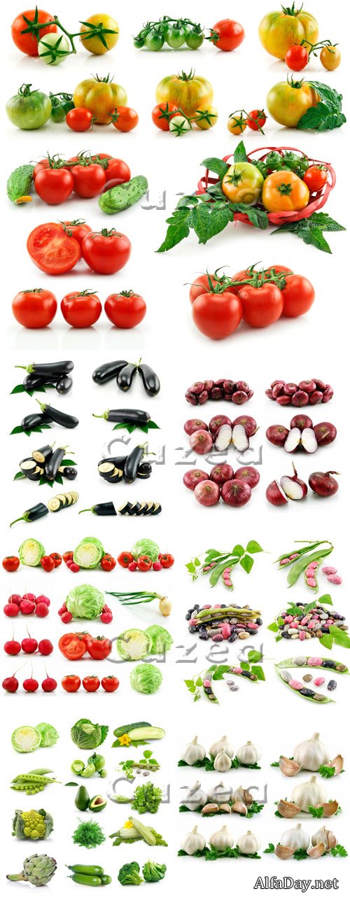 ���� ����� �� ����� ���� / Vegetables on white background - stock photo