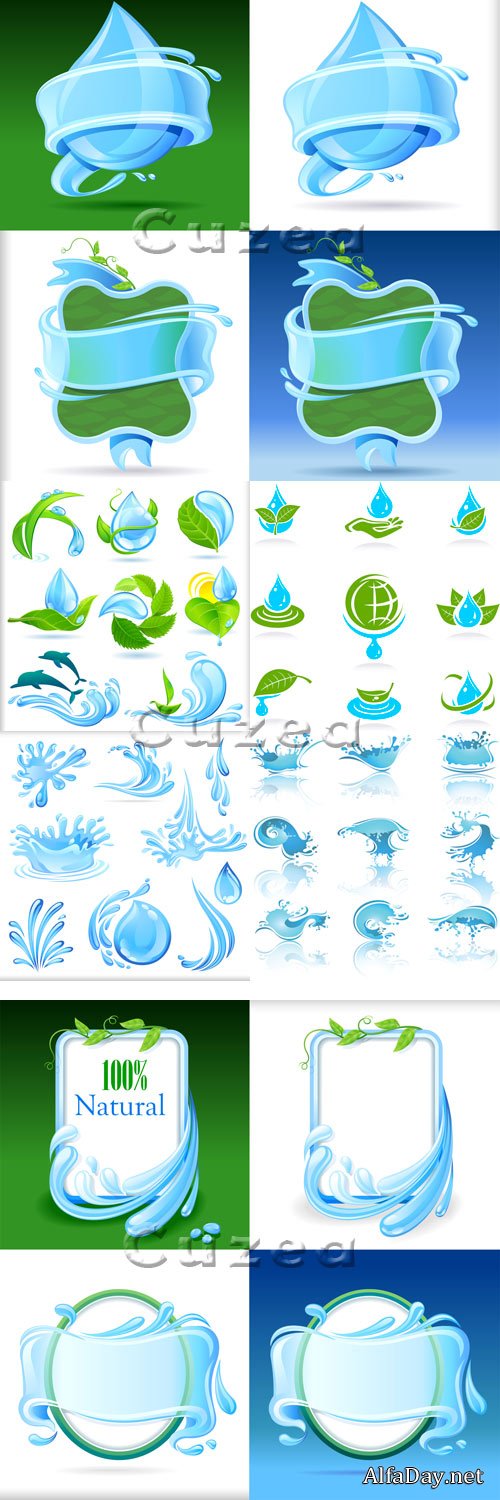 ����, ����� � ������ - ��������� ������� / Green leaves and drops in vector stock