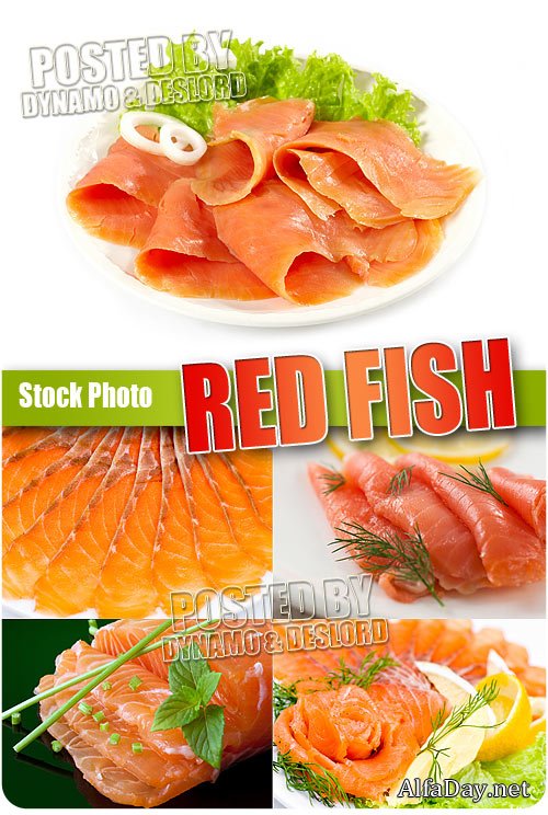 ������� ���� - ��������� �������