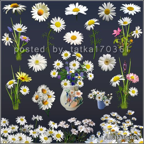 ������� ��� �������� - ������� ����� �������