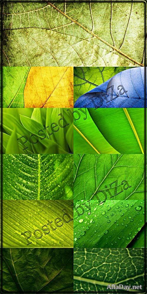 �������� �������