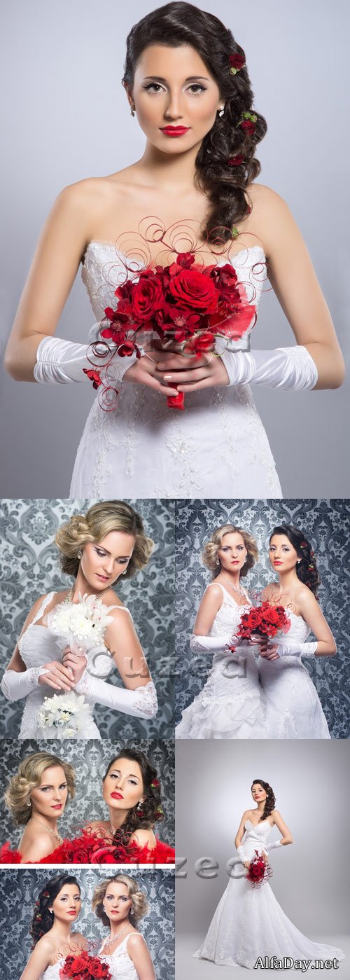 ��������� ������� � ������ - ��������� ���� 