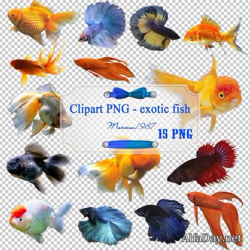 �������� ����������� ����� �� ���������� ����