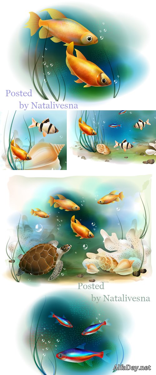 ������� ��������� � ������� / Sea inhabitants in Vector