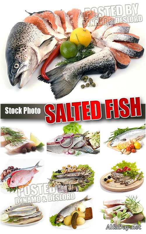 ������� ���� - ��������� �������