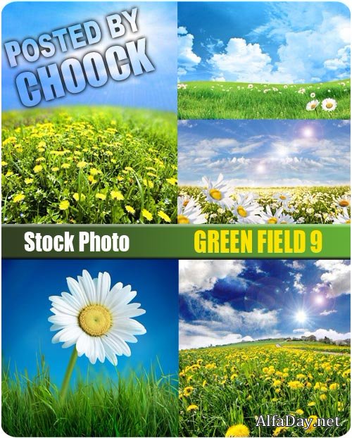 ������� ����, ���������� � ������� � ����� - ��������� �������