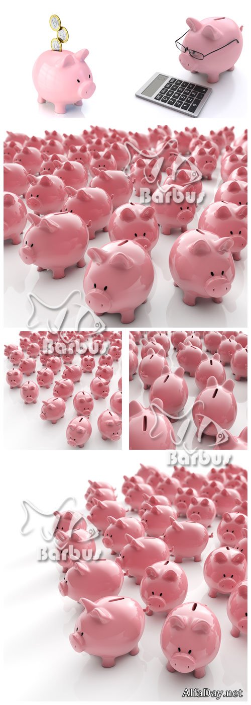 Pigs of a moneybox / ����� ������ �������