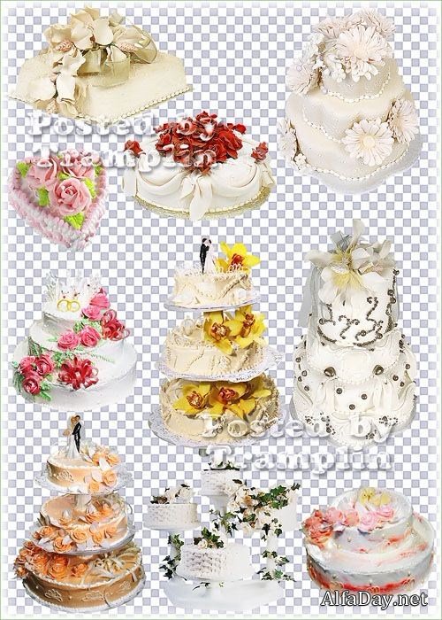 ����� ���������  - ������� -  ���������� ���