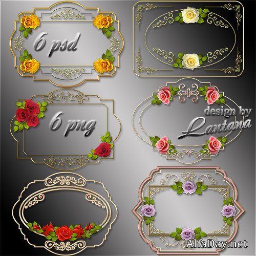 �����-������ - ���� � ������ �����