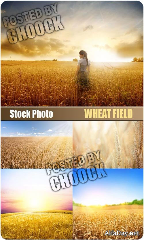��������� ���� - ��������� �������
