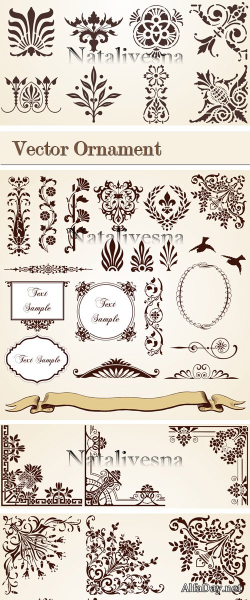 �������� ��������� � �������/ Ornament Elements  in Vector