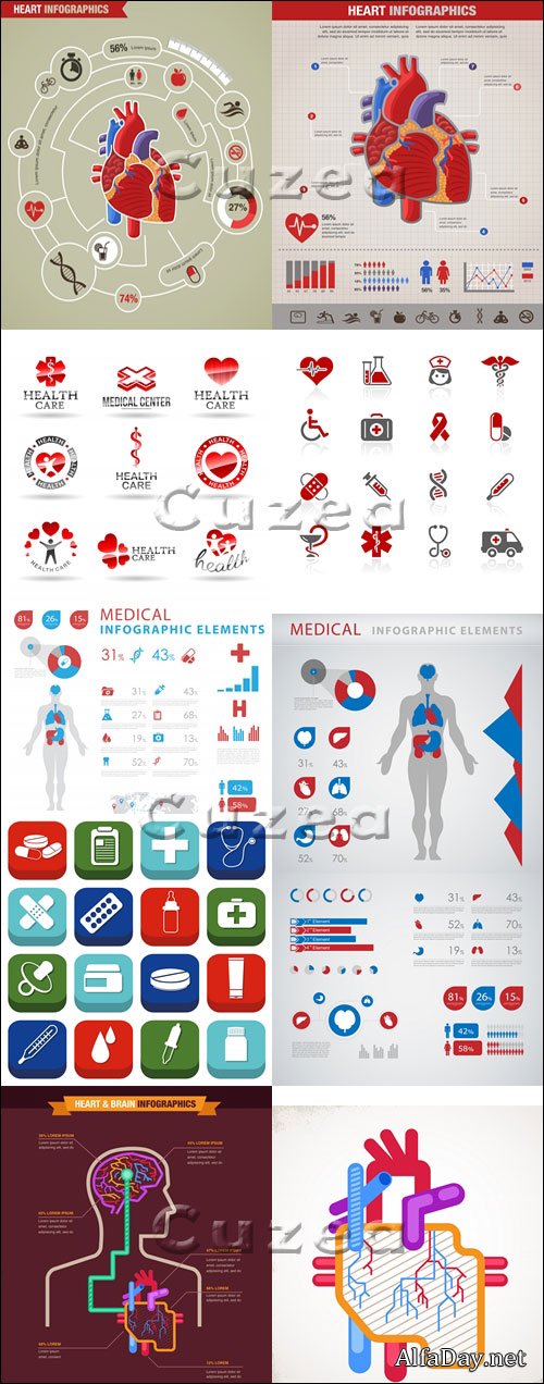 ����������� ����������� �������� / Brain and heart connected infographic - vector stock