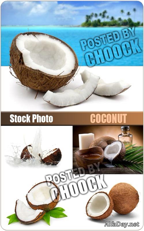 �����, ��������� ����� � ���� - ����, ��������� �������