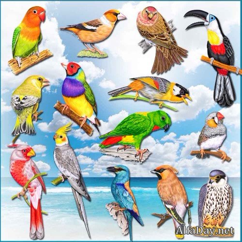 ������� �� ���������� ���� - �������� ������