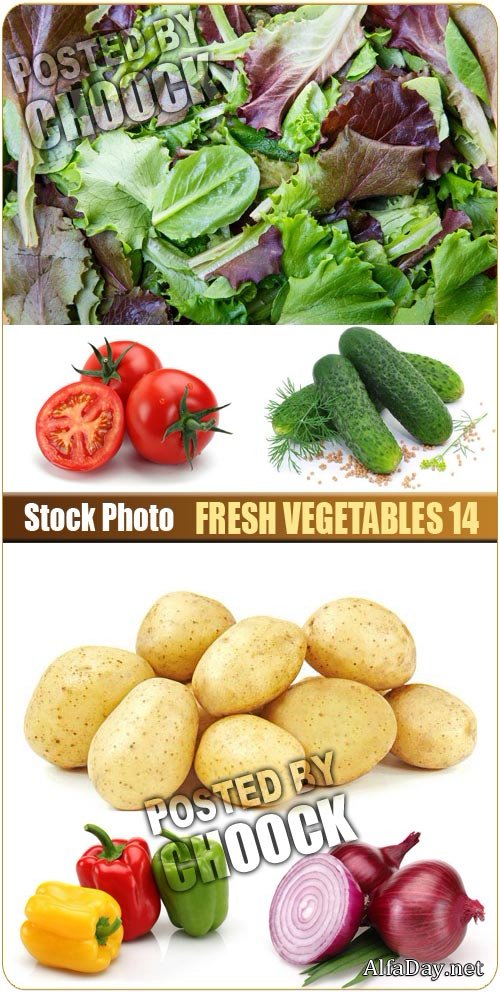 ������ ����� - ����, ��������� �������