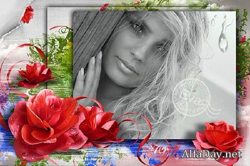  ��������� - �������� ������