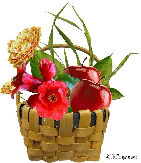 �������� � �������, �������� � �������, ���������� �������� - ������� PNG