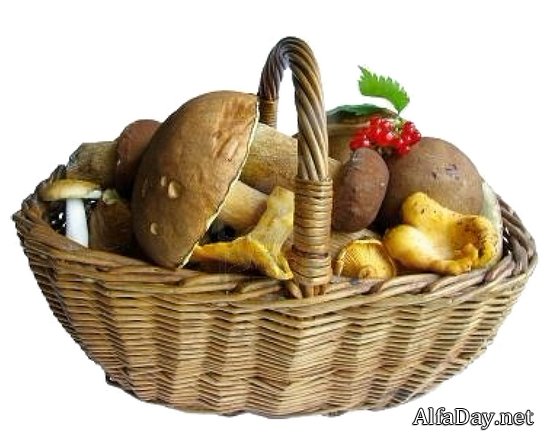 �������� � �������, �������� � �������, ���������� �������� - ������� PNG