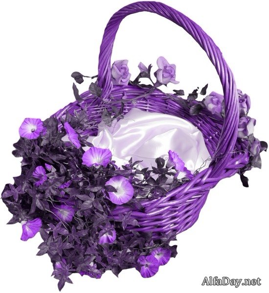 �������� � �������, �������� � �������, ���������� �������� - ������� PNG