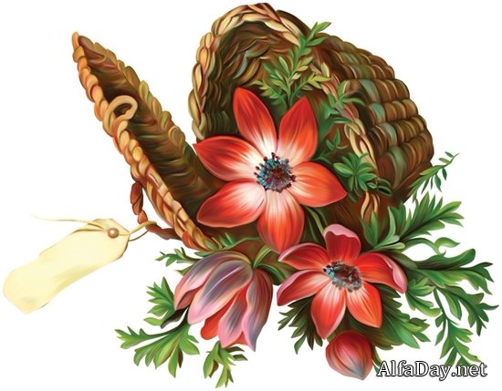 �������� � �������, �������� � �������, ���������� �������� - ������� PNG