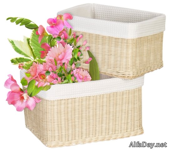 �������� � �������, �������� � �������, ���������� �������� - ������� PNG