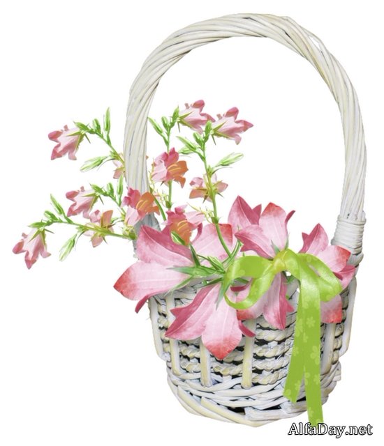 �������� � �������, �������� � �������, ���������� �������� - ������� PNG