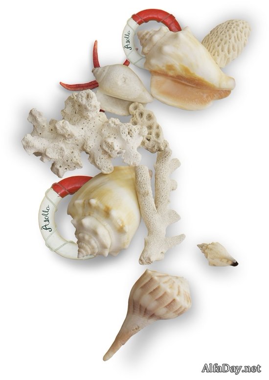 ����� �� ����, ������, ���������, ������� - ������ ������� PNG