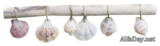 ����� �� ����, ������, ���������, ������� - ������ ������� PNG