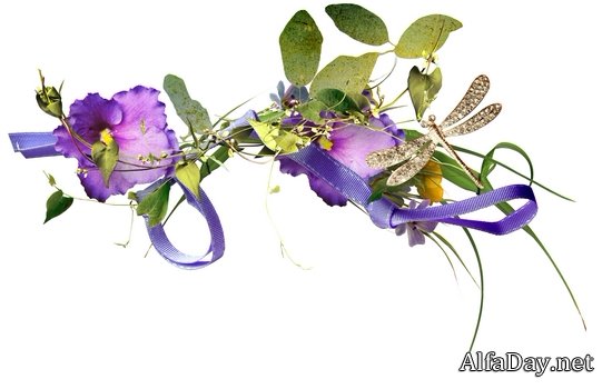 ����������� � ������� � ������� ��� ������������ - ��������� ������� PNG