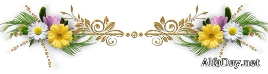 ����������� � ������� � ������� ��� ������������ - ��������� ������� PNG