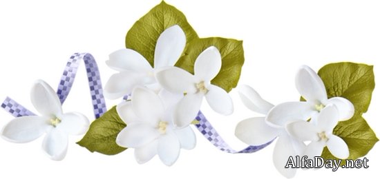 ����������� � ������� � ������� ��� ������������ - ��������� ������� PNG