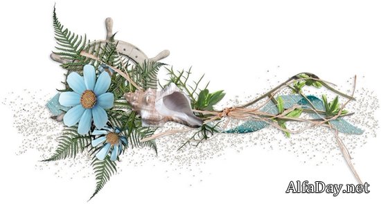 ����������� � ������� � ������� ��� ������������ - ��������� ������� PNG