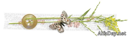 ����������� � ������� � ������� ��� ������������ - ��������� ������� PNG